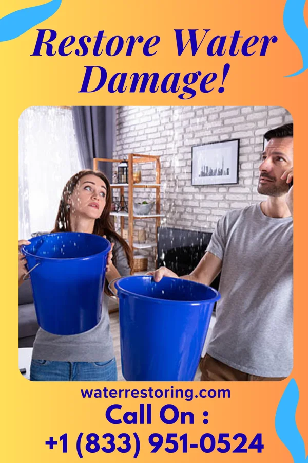 water restoration Quality Water Cleanup Co Gratiot