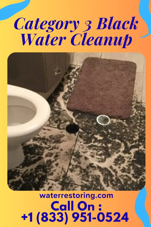 Category 3 Black Water Cleanup in Gratiot, OH