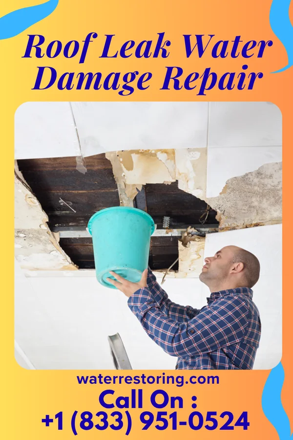 Roof Leak Water Damage Repair in Gratiot, OH