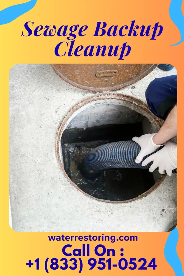 Sewage Backup Cleanup in Gratiot, OH